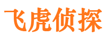 宿州市私家侦探